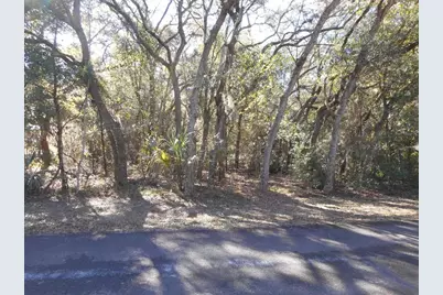 609 N Brighton Road, Lecanto, FL 34461 - Photo 1