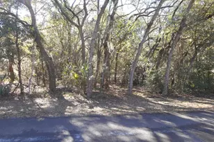 609 N Brighton Rd, Lecanto, FL 34461 - Photo 1