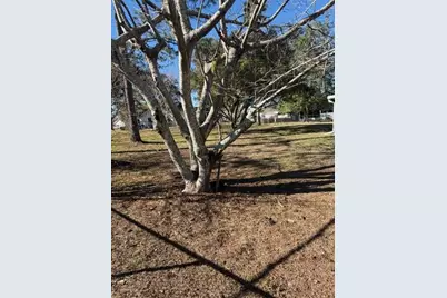 10740 SW 62nd Avenue Road, Ocala, FL 34476 - Photo 19