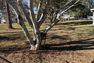 10740 SW 62nd Avenue Rd, Ocala, FL 34476 - Photo 19