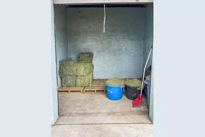 19331 E Levy Street, Williston, FL 32696 - Photo 67