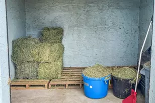 19331 E Levy St, Williston, FL 32696 - Photo 67