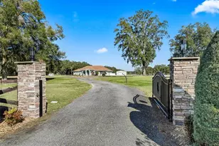19331 E Levy St, Williston, FL 32696 - Photo 5