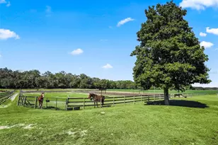 19331 E Levy St, Williston, FL 32696 - Photo 73