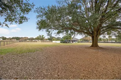 399 SE Highway 42, Summerfield, FL 34491 - Photo 3