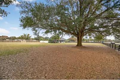 399 SE Highway 42, Summerfield, FL 34491 - Photo 37