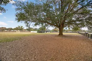 399 SE Hwy 42, Summerfield, FL 34491 - Photo 37