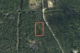 Tbd S Samsula Dr, New Smyrna Beach, FL 32168 - Photo 1