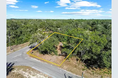 0 Guava Terrace Place & Bay Place Run, Ocklawaha, FL 32179 - Photo 7