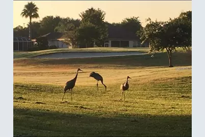 13160 SE 93rd Circle, Summerfield, FL 34491 - Photo 79