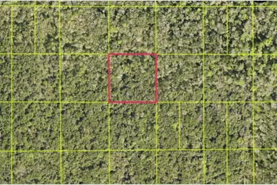 Tbd Access Rd, Oak Hill, FL 32759 - Photo 1