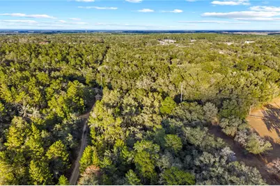 115 S Crestview Avenue, Inverness, FL 34452 - Photo 23