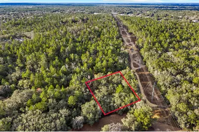 115 S Crestview Avenue, Inverness, FL 34452 - Photo 3