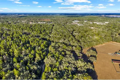 115 S Crestview Avenue, Inverness, FL 34452 - Photo 25