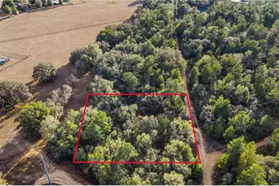 115 S Crestview Avenue, Inverness, FL 34452 - Photo 5