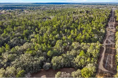 115 S Crestview Avenue, Inverness, FL 34452 - Photo 33