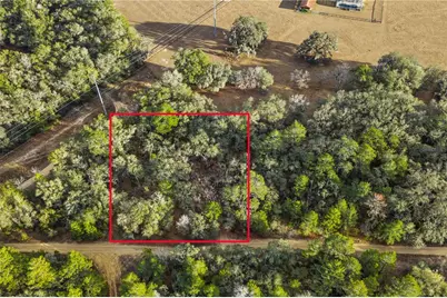 115 S Crestview Avenue, Inverness, FL 34452 - Photo 15