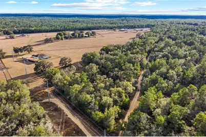 115 S Crestview Avenue, Inverness, FL 34452 - Photo 19