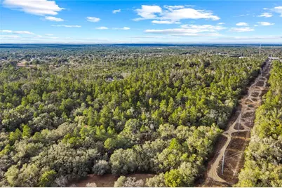 115 S Crestview Avenue, Inverness, FL 34452 - Photo 13