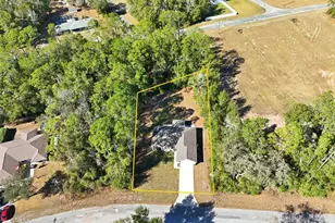 10286 N Gardner Way, Citrus Springs, FL 34434 - Photo 39