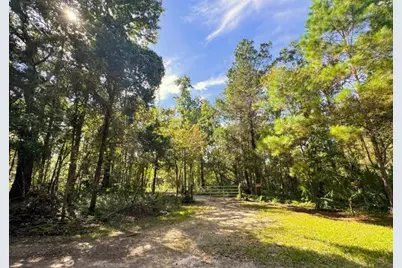 00 Clayton Road, Cedar Key, FL 32625 - Photo 21