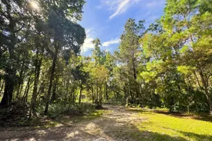 00 Clayton Rd, Cedar Key, FL 32625 - Photo 21