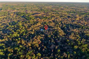 00 Clayton Rd, Cedar Key, FL 32625 - Photo 29
