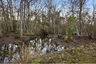 Track 79 Clayton Road, Cedar Key, FL 32625 - Photo 17