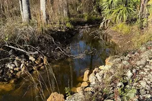 00 Clayton Rd, Cedar Key, FL 32625 - Photo 17