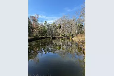 00 Clayton Road, Cedar Key, FL 32625 - Photo 21