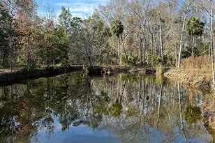 00 Clayton, Cedar Key, FL 32625 - Photo 13