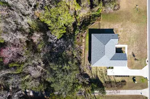 10160 SE 41st Ave, Belleview, FL 34420 - Photo 7