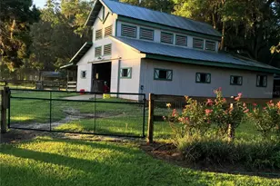 15000 W Hwy 318, Williston, FL 32696 - Photo 49