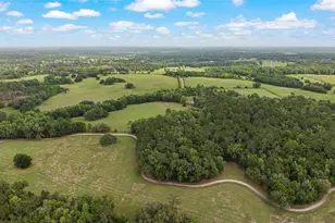 15000 W Hwy 318, Williston, FL 32696 - Photo 79