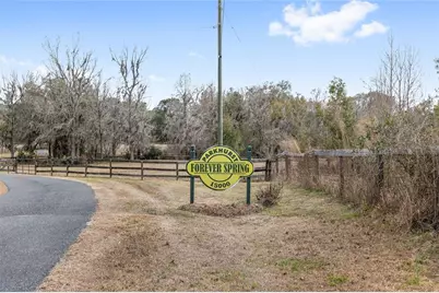 15000 W Hwy 318, Williston, FL 32696 - Photo 55