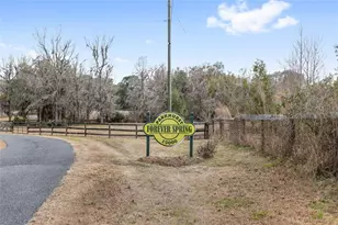 15000 W Hwy 318, Williston, FL 32696 - Photo 55