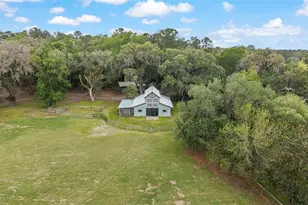 15000 W Hwy 318, Williston, FL 32696 - Photo 67