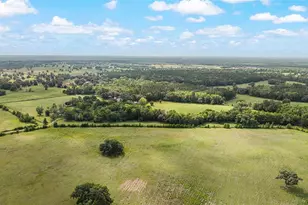 15000 W Hwy 318, Williston, FL 32696 - Photo 73