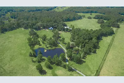 15000 W Hwy 318, Williston, FL 32696 - Photo 77