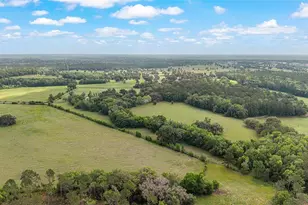 15000 W Hwy 318, Williston, FL 32696 - Photo 77