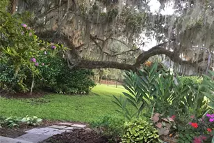 15000 W Hwy 318, Williston, FL 32696 - Photo 71