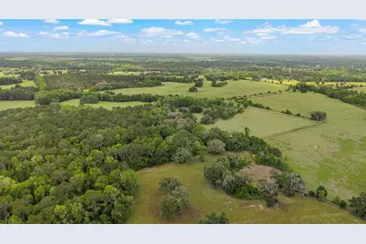 15000 W Hwy 318, Williston, FL 32696 - Photo 77