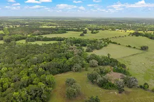 15000 W Hwy 318, Williston, FL 32696 - Photo 77