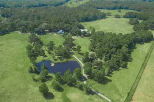 15000 W Hwy 318, Williston, FL 32696 - Photo 73