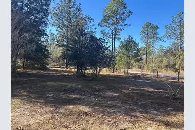 22851 SW Neptune Boulevard, Dunnellon, FL 34431 - Photo 7