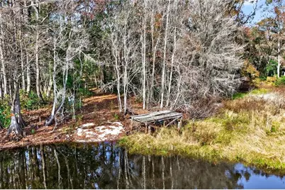 8989 S Great Oaks Drive, Floral City, FL 34436 - Photo 5