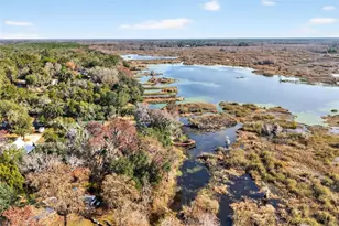 8989 S Great Oaks Dr, Floral City, FL 34436 - Photo 11