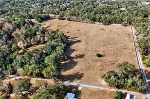 8989 S Great Oaks Dr, Floral City, FL 34436 - Photo 37