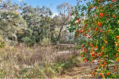 8989 S Great Oaks Drive, Floral City, FL 34436 - Photo 29