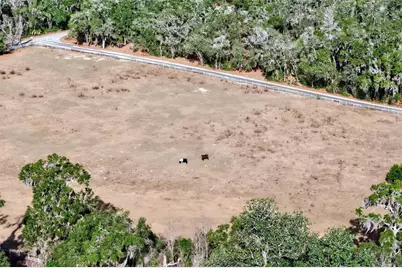 8989 S Great Oaks Drive, Floral City, FL 34436 - Photo 19